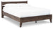 Calverson - Panel Platform Bed