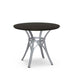 Kai Table w/ Solid Wood Tabletop