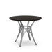 Kai Table w/ Solid Wood Tabletop