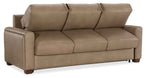 SS - Griffin Queen Sleeper Sofa - Light Brown