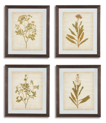 Dyani Wall Art (Set of 4)