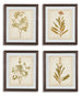 Dyani Wall Art (Set of 4)