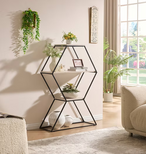 HexaForm Geometric Display Shelf