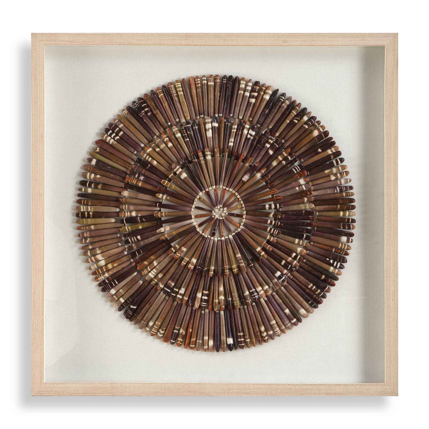 Tiger Sea Urchin - Shadow Box - Brown