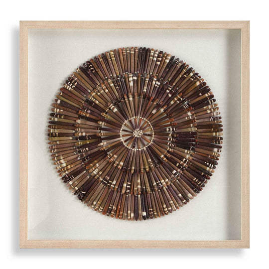 Tiger Sea Urchin - Shadow Box - Brown