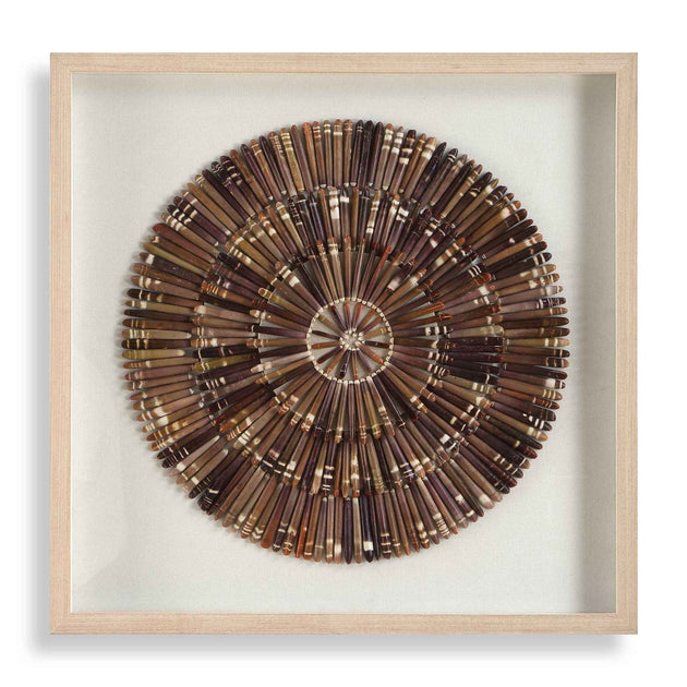 Tiger Sea Urchin - Shadow Box - Brown