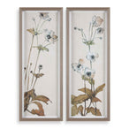 Garden - Study Framed Floral Prints (Set of 2) - Blue / Brown / Green / White