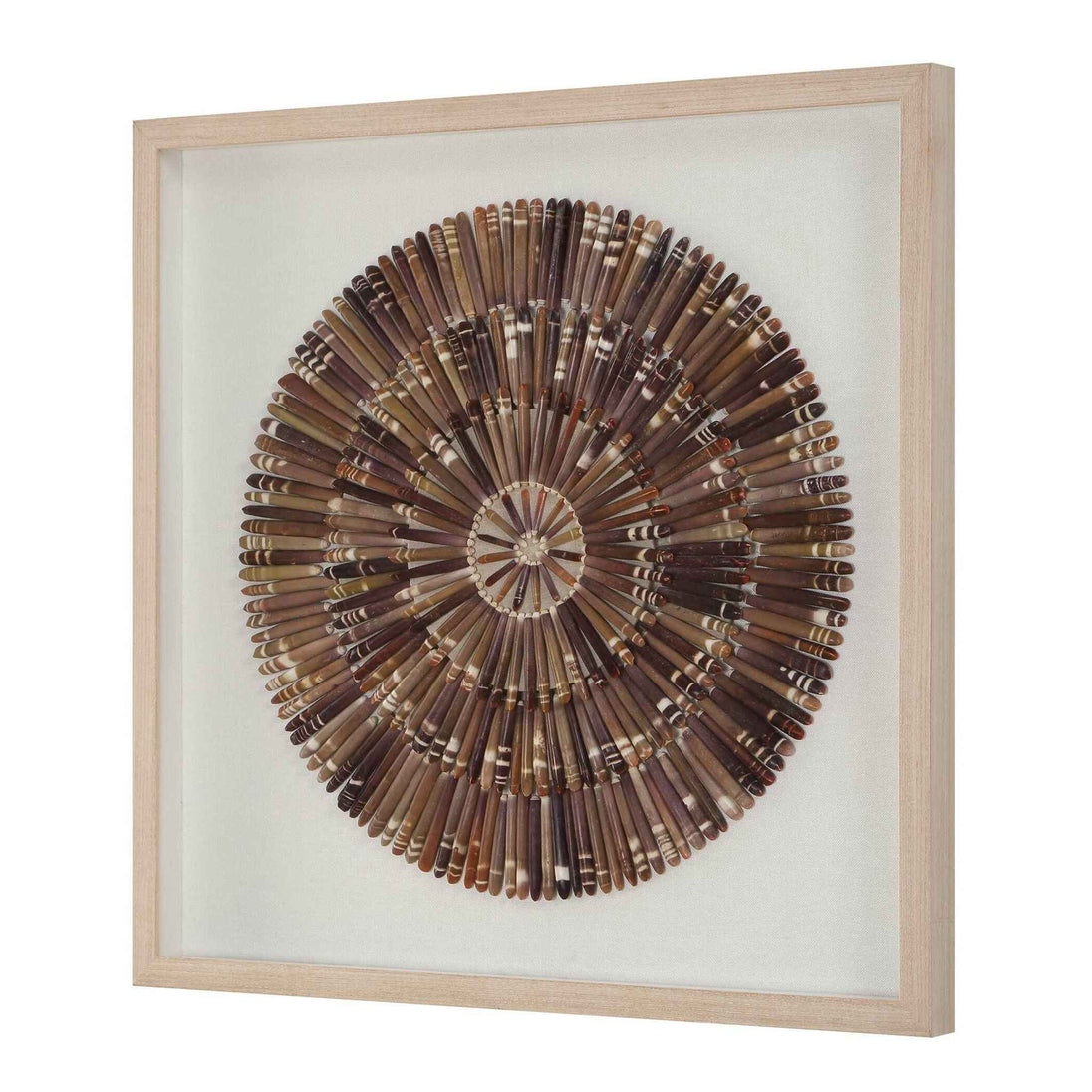 Tiger Sea Urchin - Shadow Box - Brown