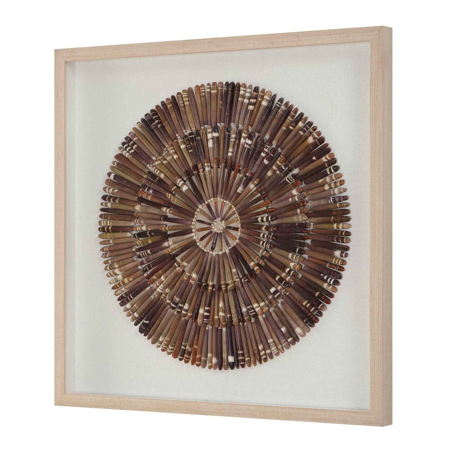 Tiger Sea Urchin - Shadow Box - Brown