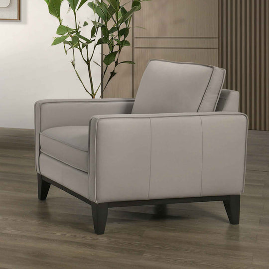 Aaron - Chair - Mist Gray
