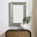 Illuminate - Mirror - Antique Brass