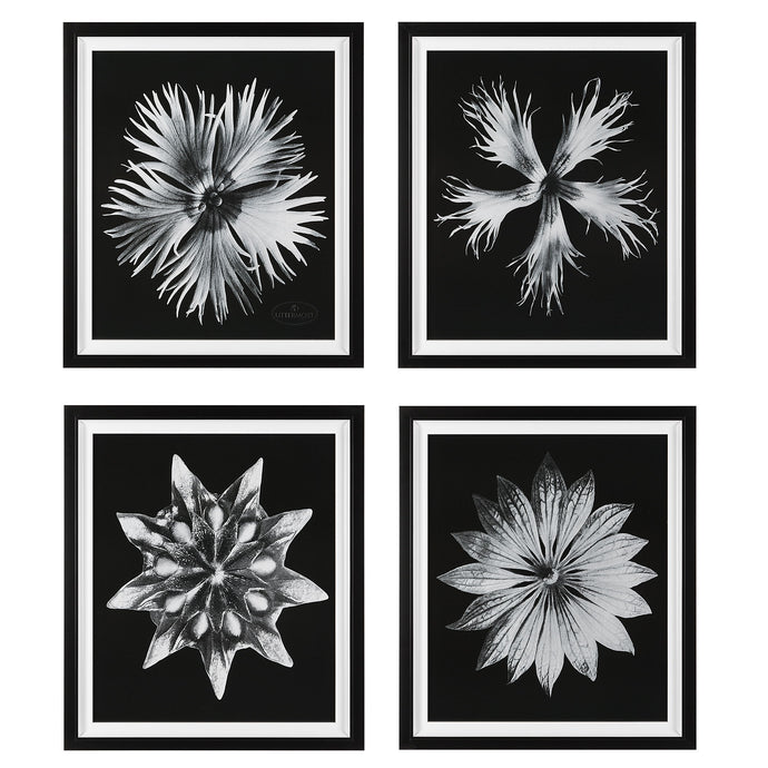 Contemporary Floret Framed Prints (Set of 4) Black