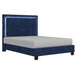 LUMINA-60'' PLATFORM BED-BLUE - Furniture Depot