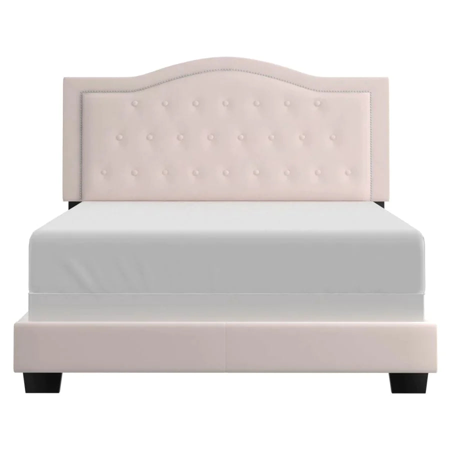 Pixie 60" Queen Bed in Blush Pink - Furniture Depot