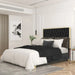 Lucille 60" Queen Bed in Black with Gold Detail - Furniture Depot