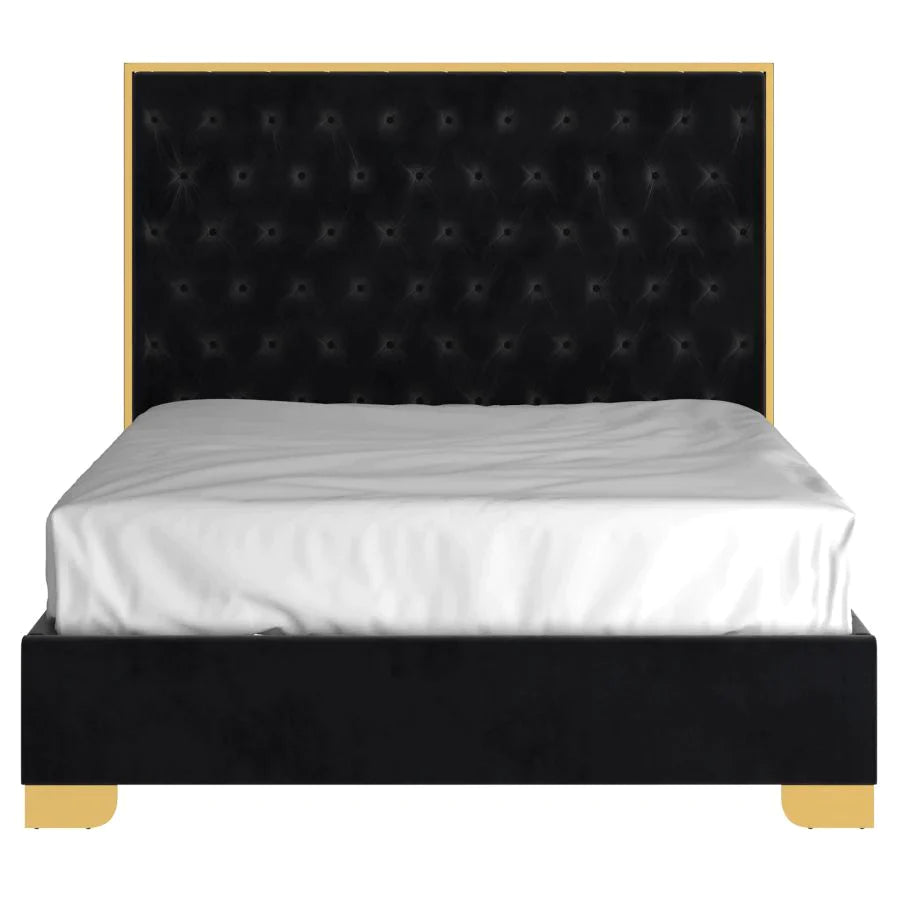 Lucille 60" Queen Bed in Black with Gold Detail - Furniture Depot