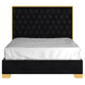 Lucille 60" Queen Bed in Black with Gold Detail - Furniture Depot