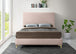 Geri Velvet Bed - Furniture Depot