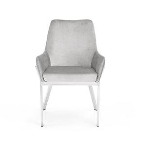 Vivianna Dining Chair (NP Grey Velve) - Furniture Depot