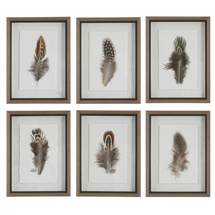 Birds Of A Feather Framed Prints (Set of 6)