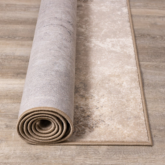 Elegant Beige Taupe Rug