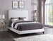 Harlie Velvet Bed - Sterling House Interiors (7679021973752)