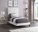 Harlie Velvet Bed - Sterling House Interiors (7679021973752)