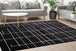 Ice Black White Lines Rug - Furniture Depot