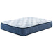 Mt Dana Plush Mattress - Furniture Depot