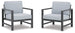 Fynnegan Lounge Chair with Cushion (Set of 2) - Furniture Depot (7658867327224)