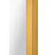 Vanessa Mirror - Furniture Depot