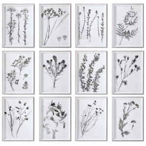 Contemporary Botanicals Framed Prints, Set Of 12 Black