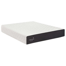 Load image into Gallery viewer, Cocoon by Sealy Memory Foam Mattress 10&quot; - Twin Extra Long - Furniture Depot