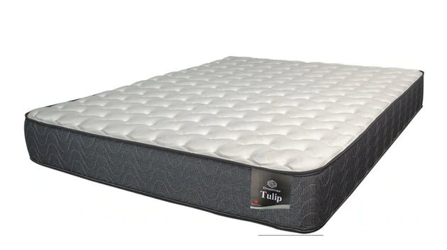 Tulip Luxurious Mattresses - Bed in a Box - Furniture Depot