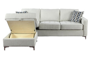 Hudson Sectional with Storage chaise, Platinum Grey - Furniture Depot