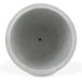 Noemie Vase - Furniture Depot