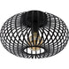 Ivy Ceiling Fixture - Furniture Depot